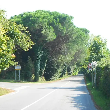 Edoardo Rosolina Mare